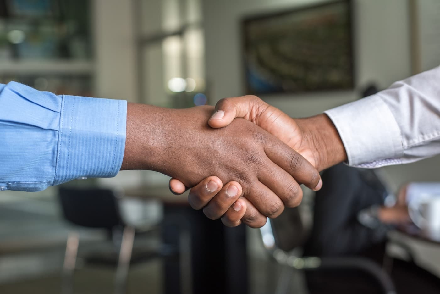 Why Use a Visa Consultant Instead of Applying Alone