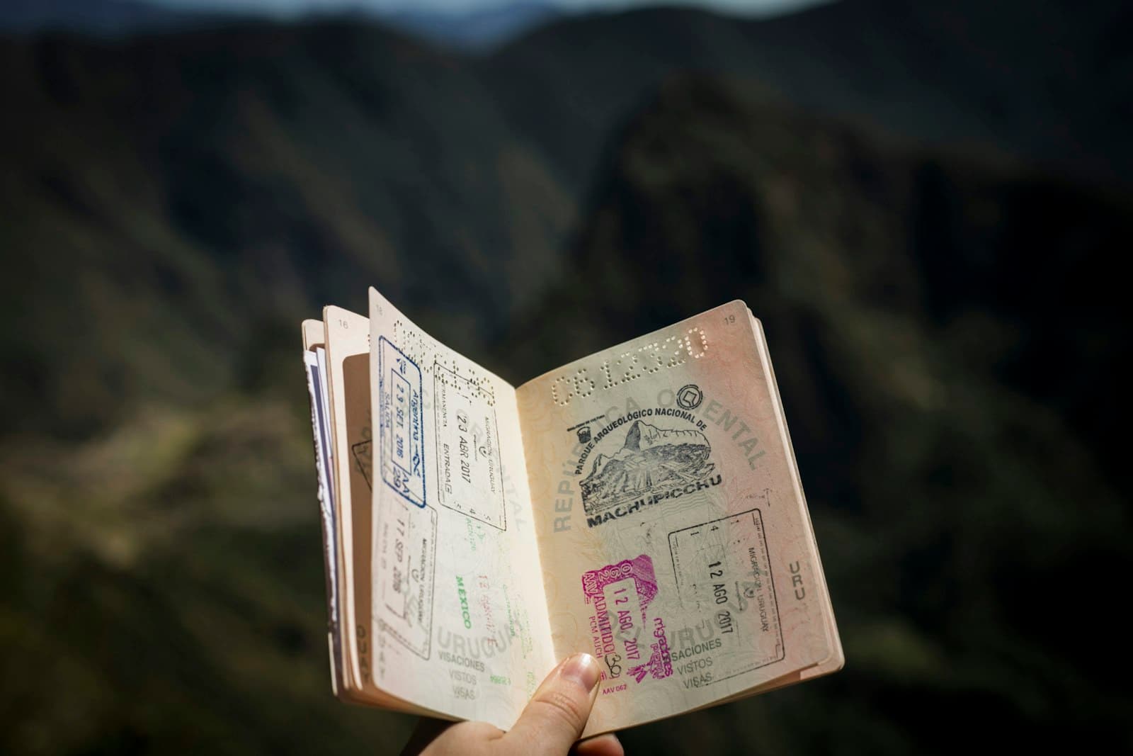 Tourist Visa / Visit Visa